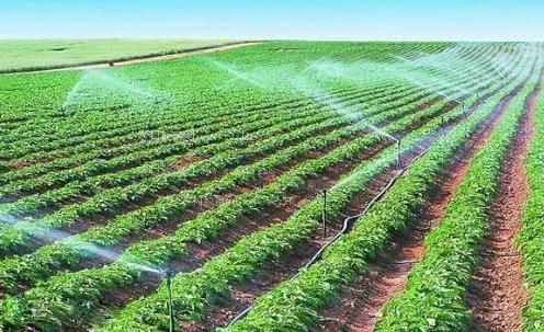 靠屄www农田高 效节水灌溉